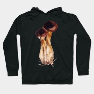 Boletus edulis Hoodie